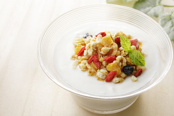ヨーグルト グラノーラ  Yogurt granola