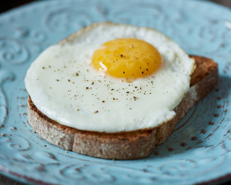 fried egg on toasted bread