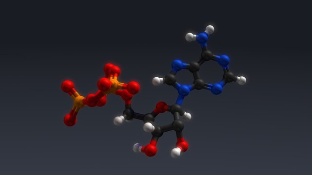Adenosine triphosphate structure
