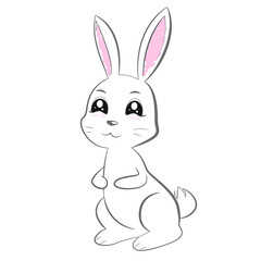 Fototapeta na wymiar cute bunny on white background