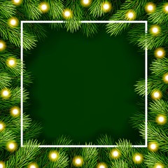 Frame of detailed Christmas tree branches on isolated background