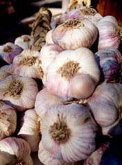 Garlics for sale at local market

