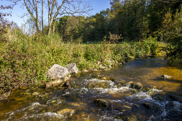 Herbstliche Landschaft an einem Bach