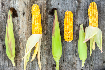 Fresh corn cob flat lay, wooden background, farm fresh vegetables © alicja neumiler