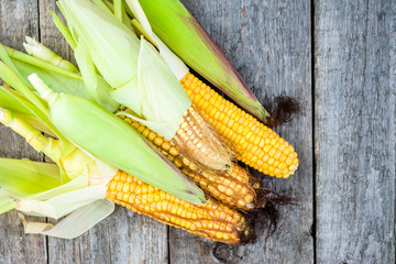 Fresh corn cob on rustic wooden farmer table, vegetable harvest