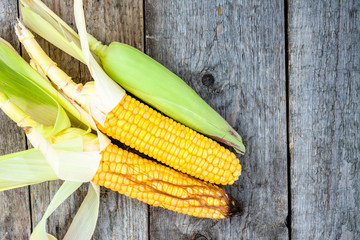 Fresh corn cob on rustic wooden farm table © alicja neumiler