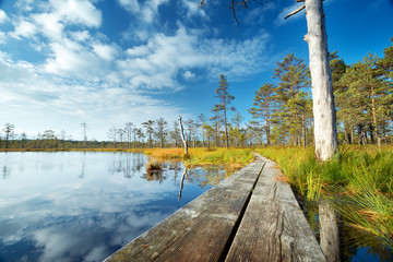 Viru bogs at Lahemaa national park in autumn. Wooden path at beautiful wild place in Estonia - obrazy, fototapety, plakaty