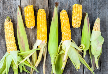 Yellow corn cob, flat lay on rustic wooden table, local market vegetables © alicja neumiler