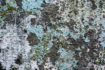 Multicolored vintage grunge texture of old decorative tile wall