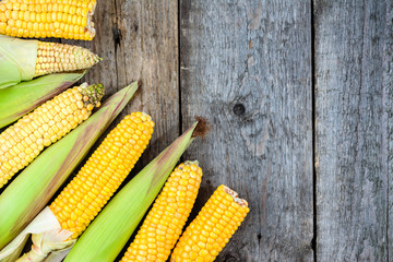 Ripe corn, flat lay, vegetables on rustic wooden background, copy space © alicja neumiler