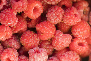 Raspberry, background