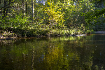 Der Herbstwald spiegelt sich im Wasser eines Bachs