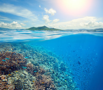 Fototapeta Wielka rafa koralowa w tropikalnym dennym tle wyspa