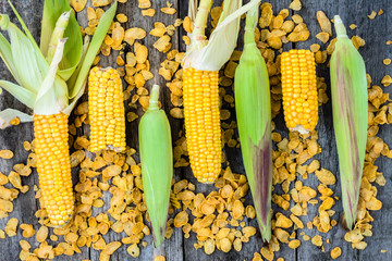 Crunchy corn flakes and fresh corn cob on table. Vegan diet. Glu © alicja neumiler