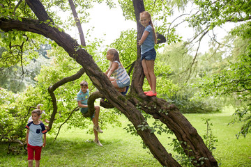 happy kids climbing up tree in summer park