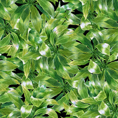 Watercolor illustration of leaf, seamless pattern on dark background