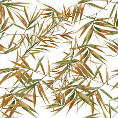 Fototapety  Akwarela ilustracja liści bambusa, wzór na białym tle