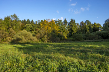 Die letzten Sonnenstrahlen im Herbst auf einer Wiese