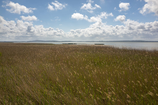 Gardno lake, part of Słowiński National Park. The hill Rowok&oacute;ł (Revekol) In the background.