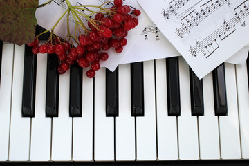 Клавиши фортепиано, ноты и рябина