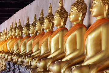 row of golden buddha statue