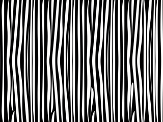 Zebra seamless pattern. For wallpaper, tiles, fabrics and designs. Vector illustration. Vector illustration.