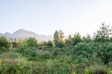 Misty morning mountain view