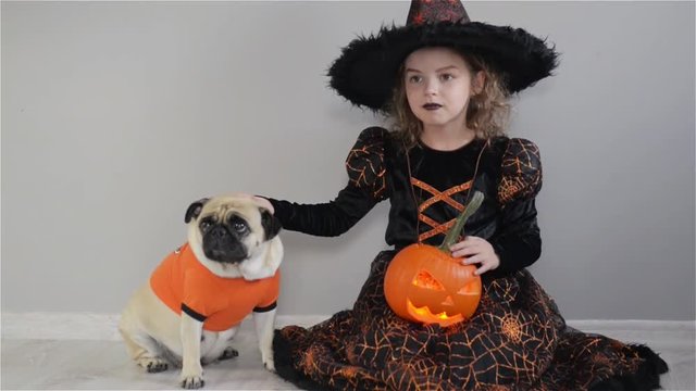 Cute girl and her little dog are dressed in suits for Halloween. Child in an image of sorcerer sits on floor. Pumpkin - Halloween symbol