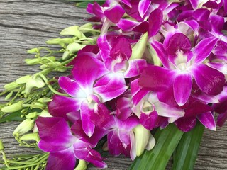 Purple Orchid on wood background