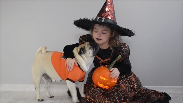 Cute girl and her little dog are dressed in suits for Halloween. Child in an image of sorcerer sits on floor. Pumpkin - Halloween symbol. Girl holds pumpkin and embraces pug.