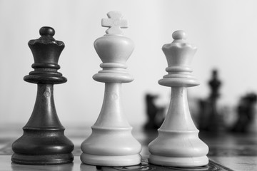 Scacchi fotografati su una scacchiera