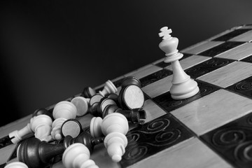 Scacchi fotografati su una scacchiera