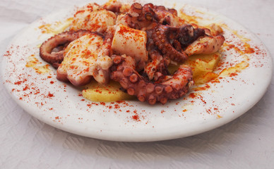 Close view of octopus' tentacle with patatoes
