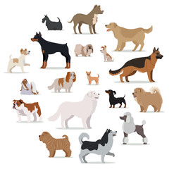 Dogs Breed Set in Cartoon Style Isolated on White.