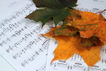 Желтые листья на нотах