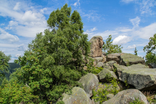 Auf der Feigenbaumklippe, Naturpark Harz
