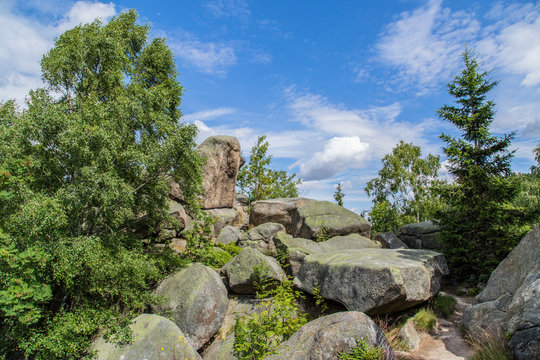 Auf der Feigenbaumklippe, Naturpark Harz