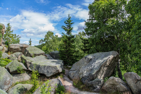 Auf der Feigenbaumklippe, Naturpark Harz