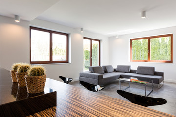 Comfortable settee in house