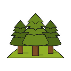 Fototapeta premium Pine trees icon. Plant nature and forest theme. Isolated design. Vector illustration