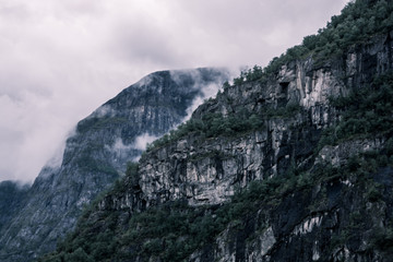 Norwegen Gebirge Landschaft Natur Wald düster Wolken