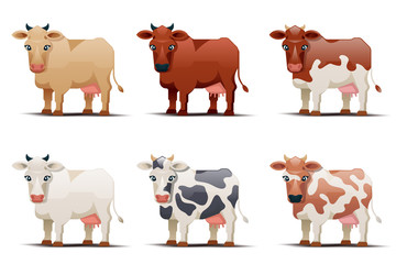 Cows of different colors on white background