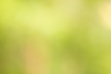Fototapeta na wymiar blurred background , nature color