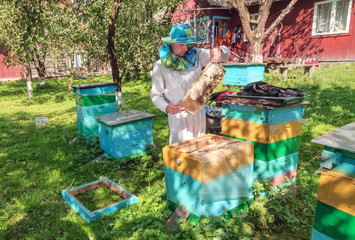 beekeeper on apiary