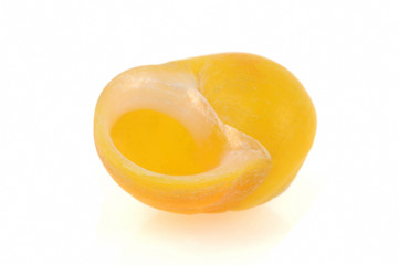 Coquille de bigorneau jaune