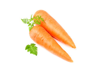 Ripe carrot with leaves isolated.