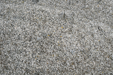 surface of a granite boulder