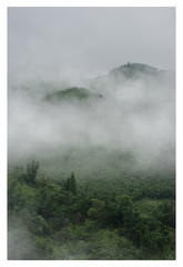 Nebel in den bergen von sapa vietnam