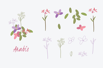 Greeting card Spring arabis flower