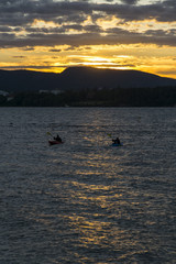 Obraz premium Kayak&nbsp;training &nbsp;in Oslo bay at sunset 1